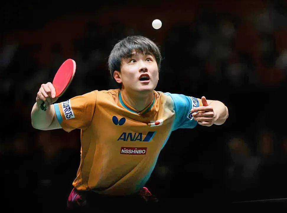 德国队险胜波兰队,张本智和带队取胜的简单介绍 德国队险胜波兰队,张本智和带队取胜的简单介绍