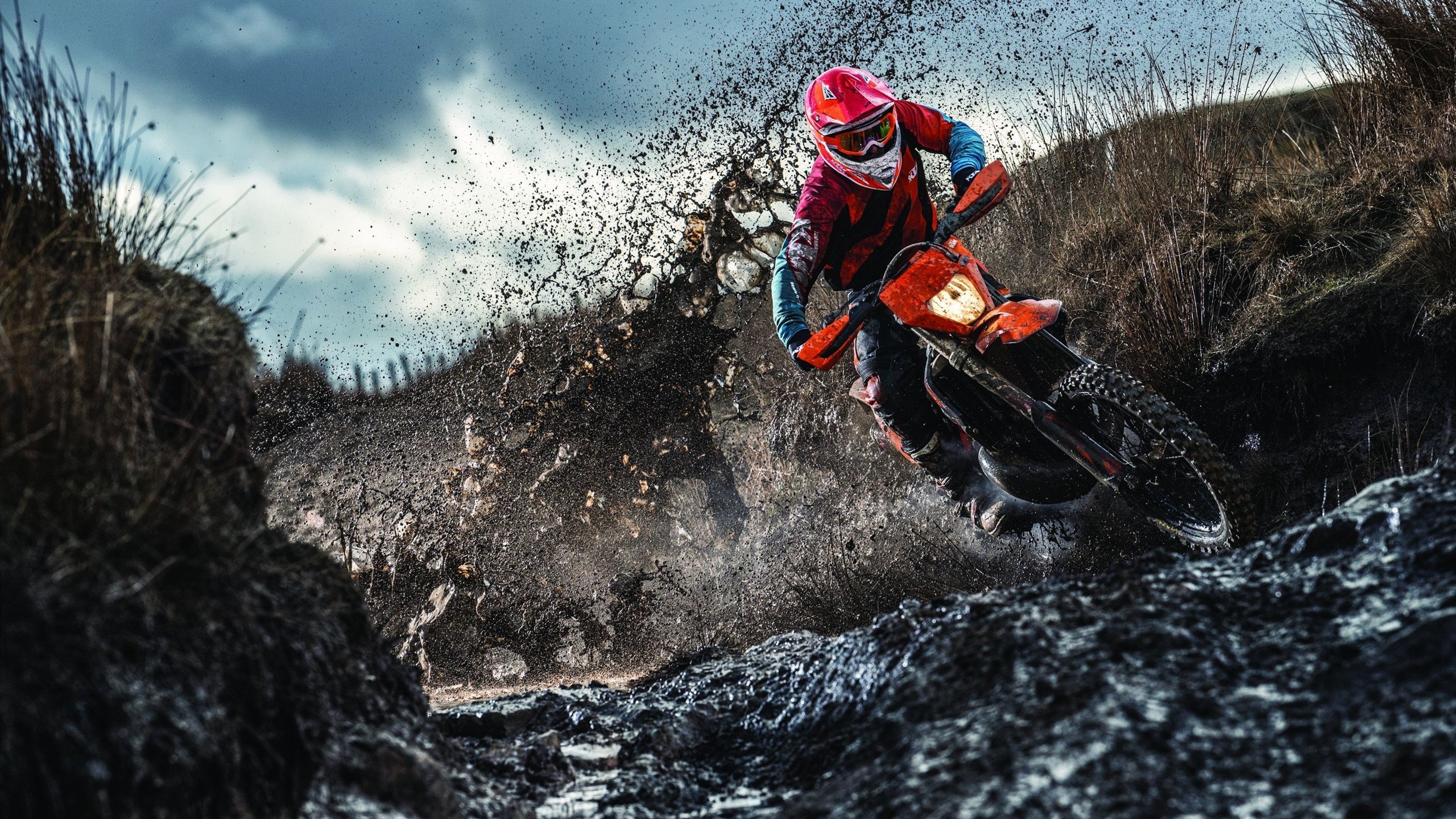 美加墨世界杯焦点战前瞻，苏格兰速胜哲学能否破解丹麦童话？