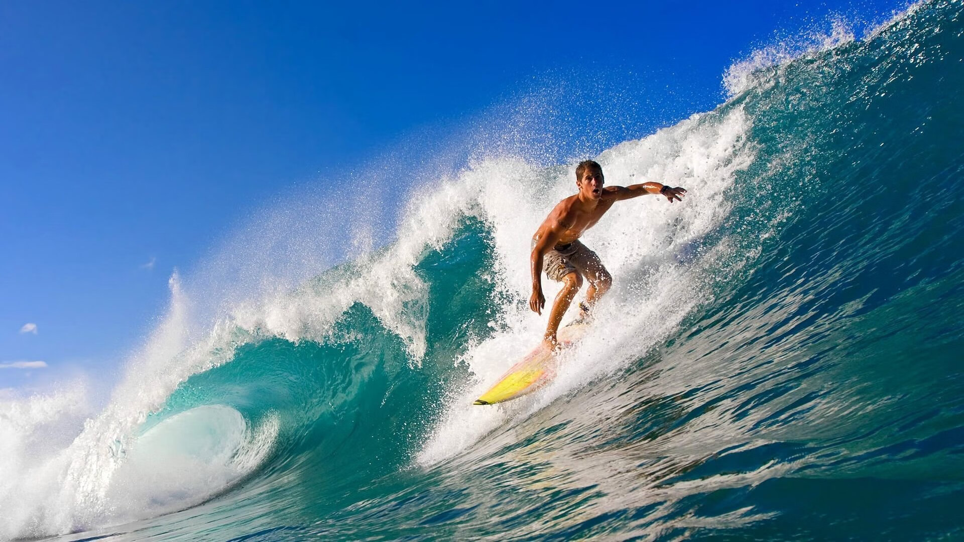 逆转的弧线，樊振东的制胜一击与东亚乒乓新格局